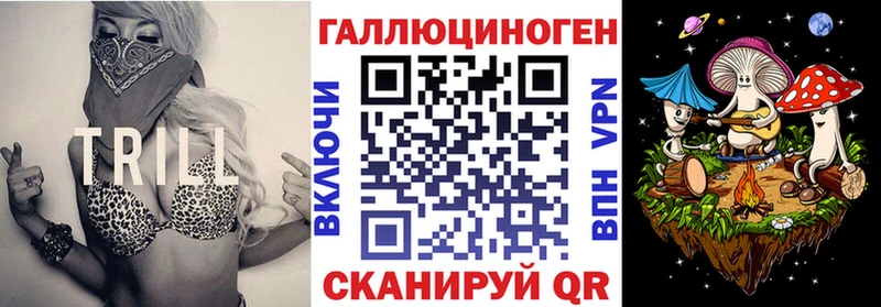 где можно купить наркотик  Гулькевичи  Псилоцибиновые грибы Psilocybine cubensis 